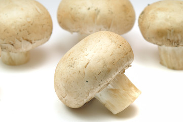 mushrooms