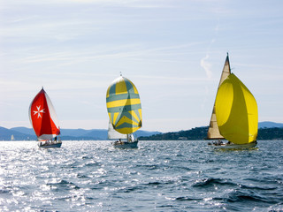 Segelyachten bei den Voiles de St Tropez