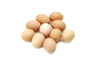 eggs