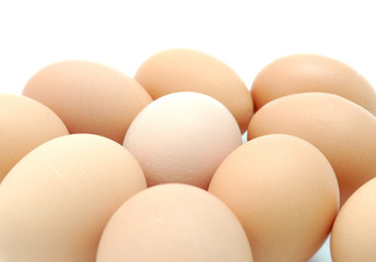 eggs