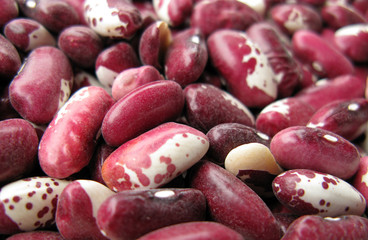 Bean purple and white