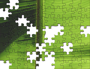 Environmental puzzle