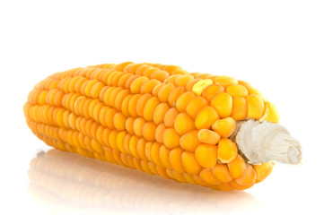 corncob
