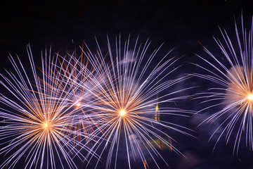 Fototapeta premium Firework explosions