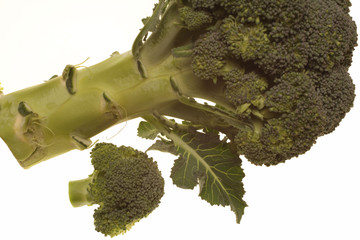 brocoli