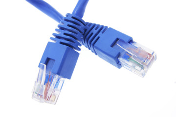 Network Cable
