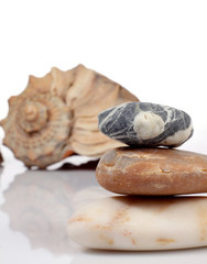 Stones and shells