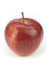 Apfel Royal Gala isoliert