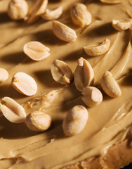 Peanut Butter Sandwich Closeup