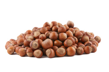 nut 4