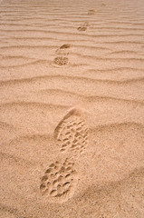 Fototapeta na wymiar Footprints