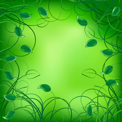 Obraz premium Green background with elegance plant with swirls