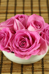 Pink roses