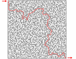 Labyrinthe 55x55 et sa solution © nfrPictures