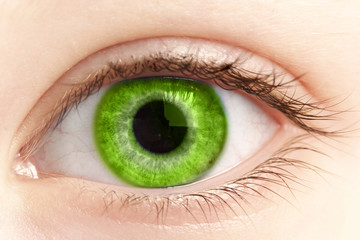 green eye of the person close up