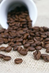 grains de café étalés sur un sac de toile