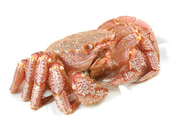 Alaskan king crab