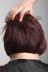 Fototapeta premium Hairdresser ruffle