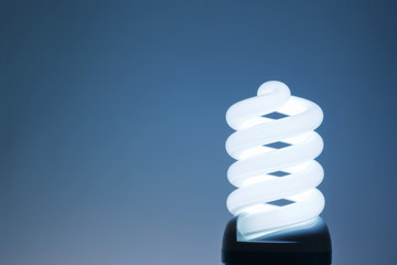 Compact Fluorescent Light Bulb.