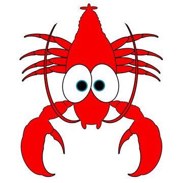 Lobster Cartoon - Isolated On White
