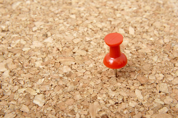 push pin 11