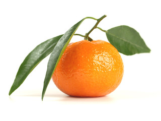 Mandarine mit Blätter