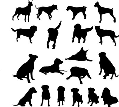 dogs collection - vector