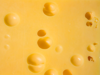 cheese, background