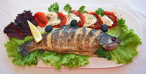 Salmon