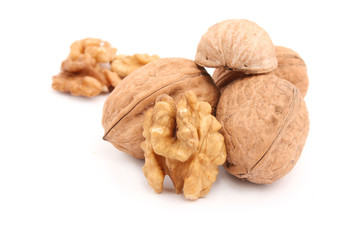 walnut