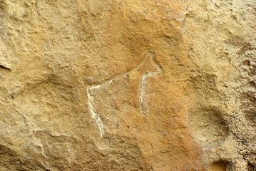 Petrographs in Gobustan