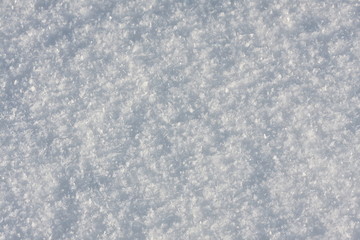 Snow 050