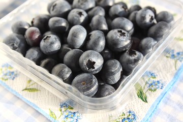 Blaubeeren Heidelbeeren Blueberries