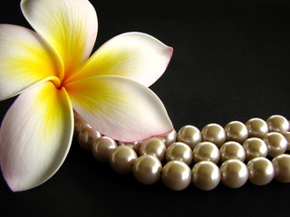 Frangipani with Pearls on black background