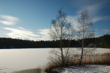 Winterlandschaft
