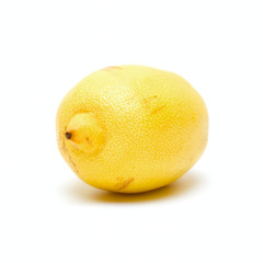 One Lemon