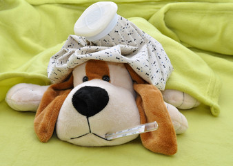 cane con l'influenza