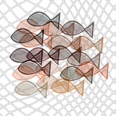 fishes catched in net