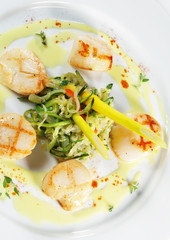 Sea Scallop