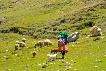 Schäferin in Anden, Peru