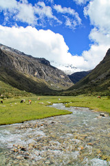 Fototapeta na wymiar Krajobraz Peru