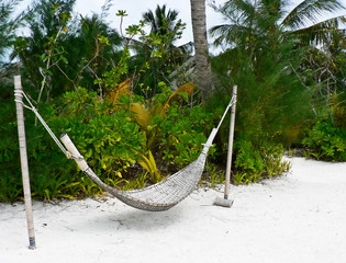 hammock on the tropical beach