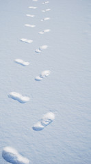 snow footsteps