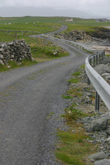 Fototapeta premium Connemarra - 