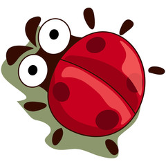 Ladybug
