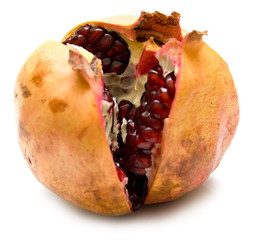 pomegranate on white