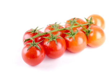 Tomatoes