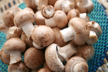 champignons