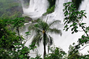 Iguazu Wasserfälle