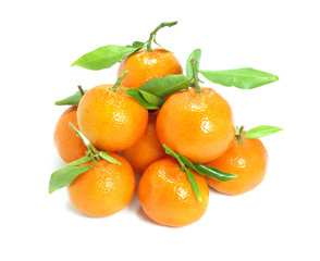 Fresh Spanish Mandarins